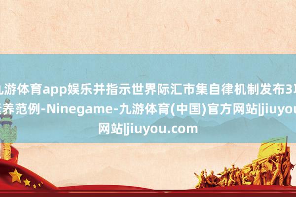 九游体育app娱乐并指示世界际汇市集自律机制发布3项行业素养范例-Ninegame-九游体育(中国)官方网站|jiuyou.com